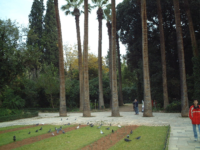 National Park 3